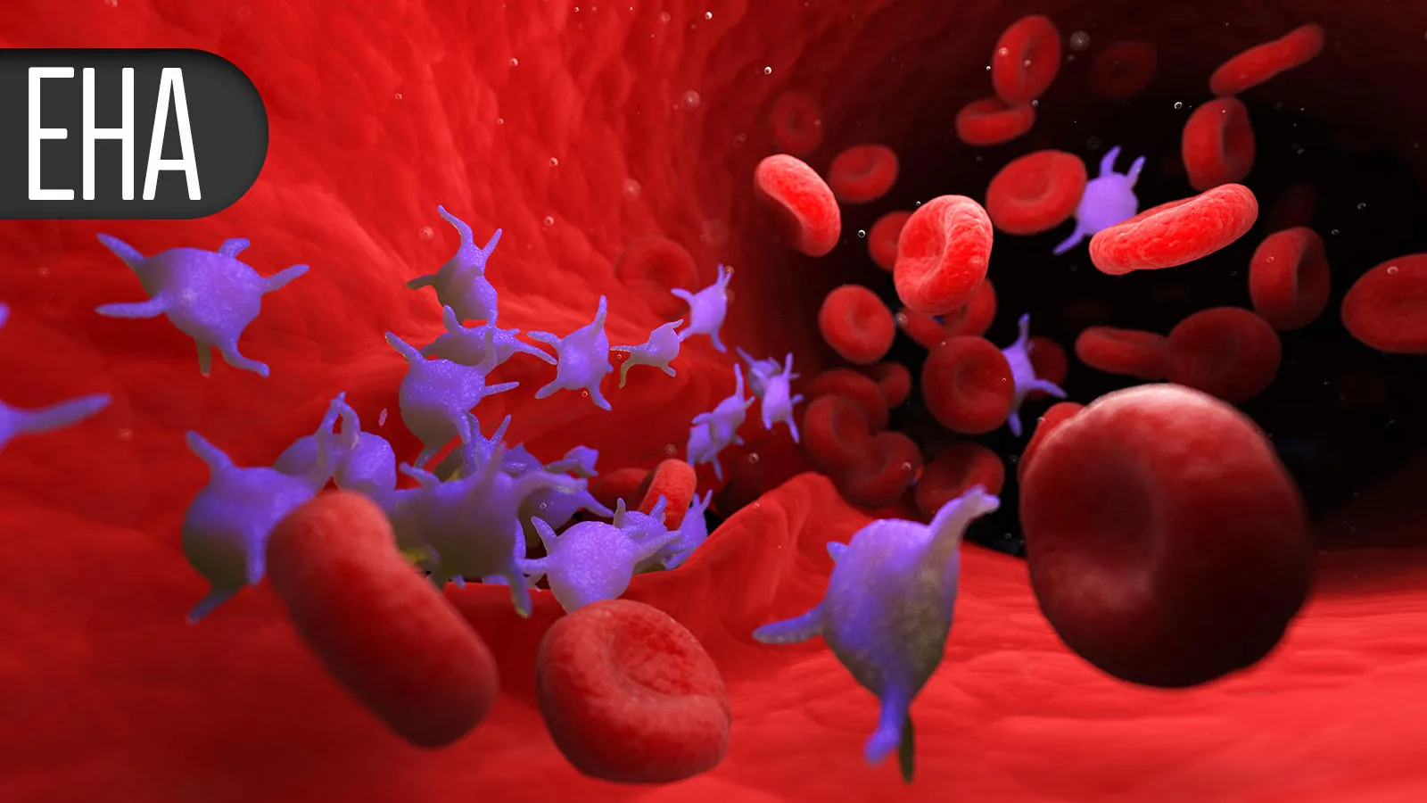 New triplet therapy shows strong results in relapsed/refractory CLL