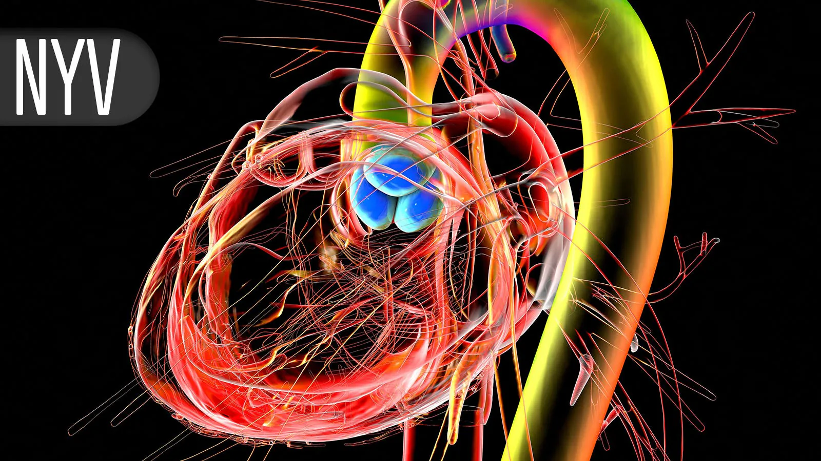Zapping the left atrial appendage before sealing it could cut a common complication in half
