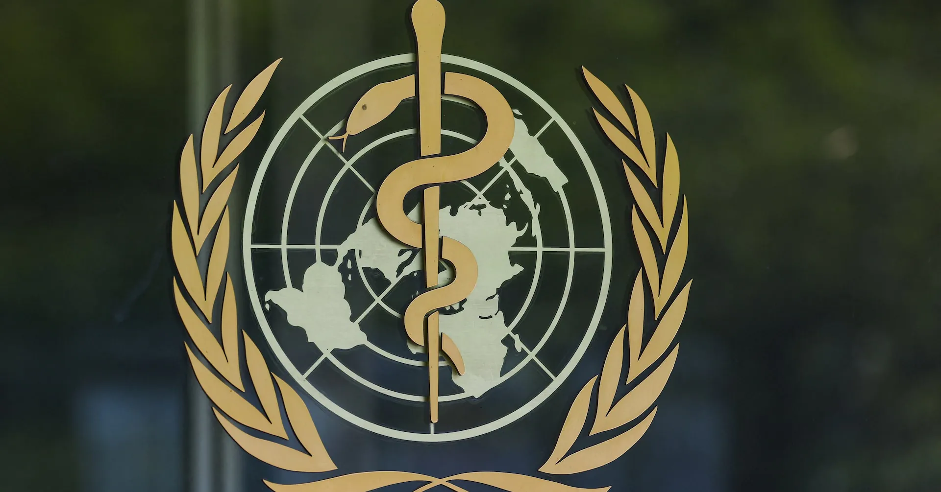 First patient enrolled in Bundibugyo Ebola treatment trial in DRC