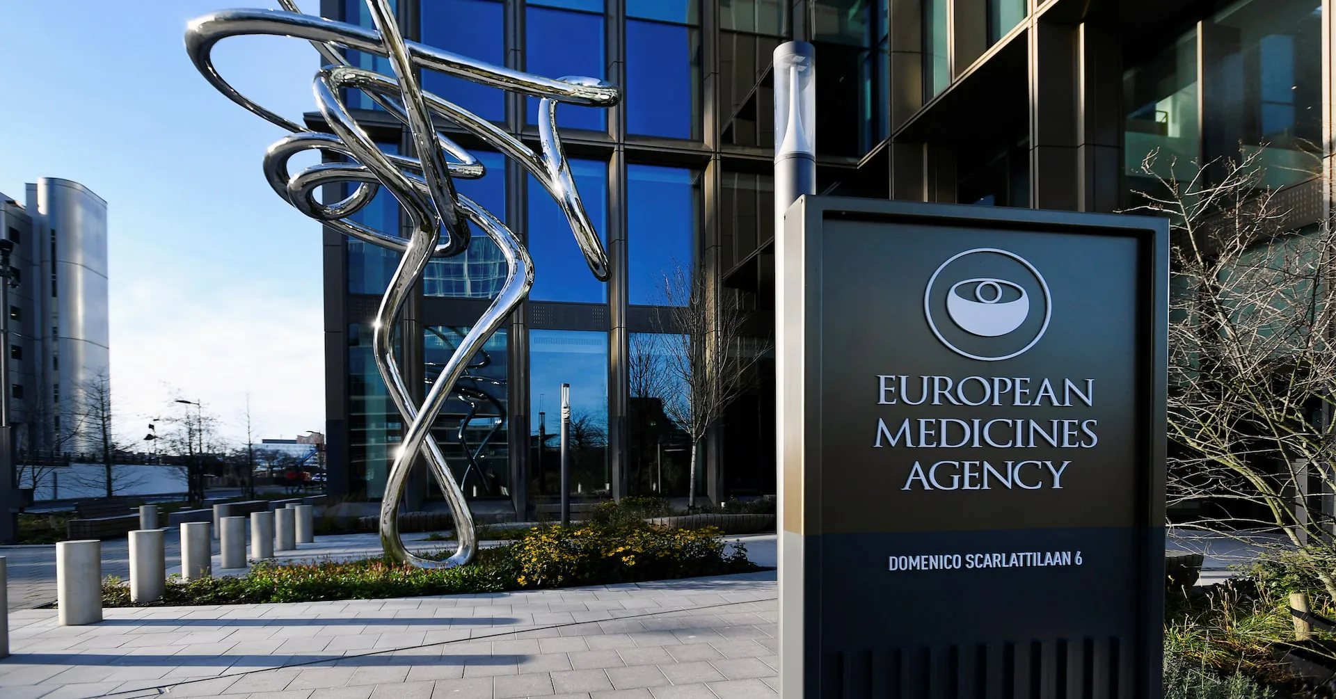 EMA fast-tracks review of daraxonrasib for metastatic pancreatic cancer