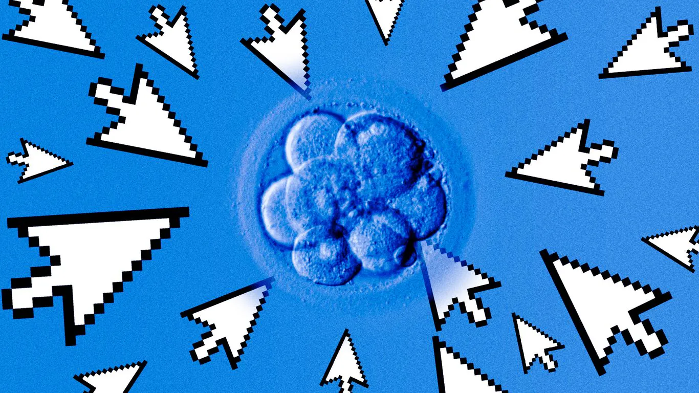 State IVF oversight proposals could threaten access to fertility care, physicians warn