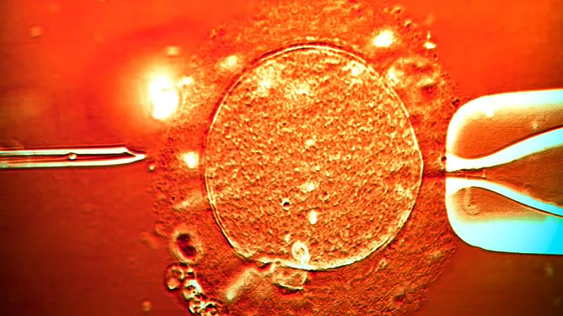 Donor eggs can't fully turn back the clock after 49
