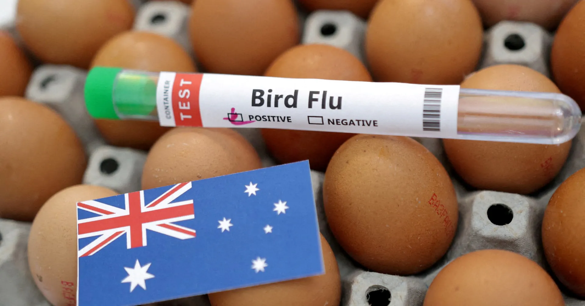 Australia's H5N1 bird flu crisis escalates with first mass mortality event