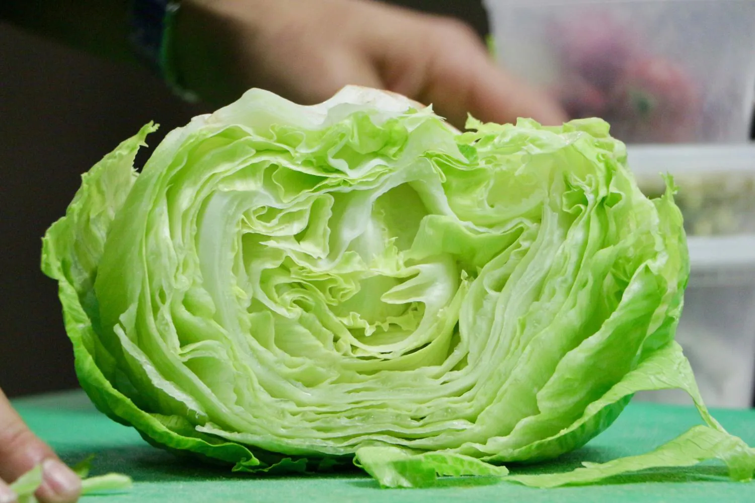 Michigan's massive Cyclospora outbreak is finally winding down — but it exposed big gaps in the U.S. public health system