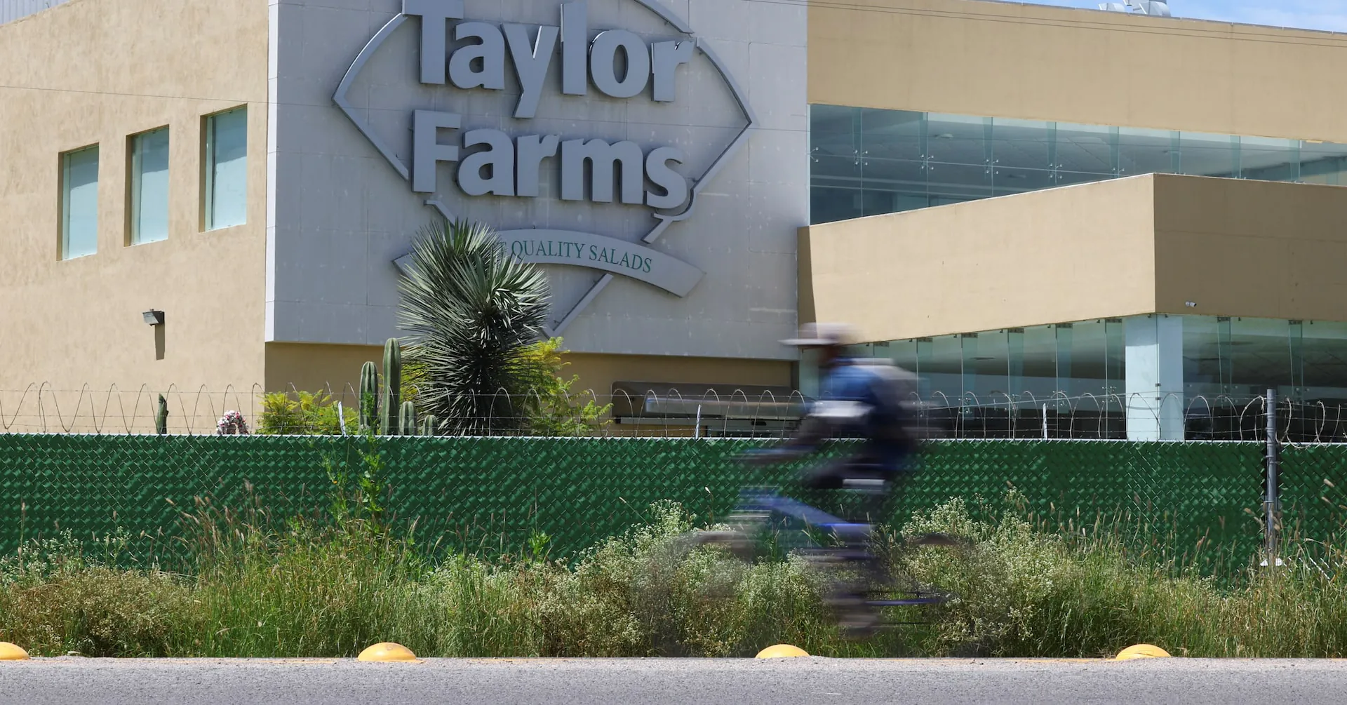 Taylor Farms pulls salsa and guacamole amid growing salmonella and cyclospora scares
