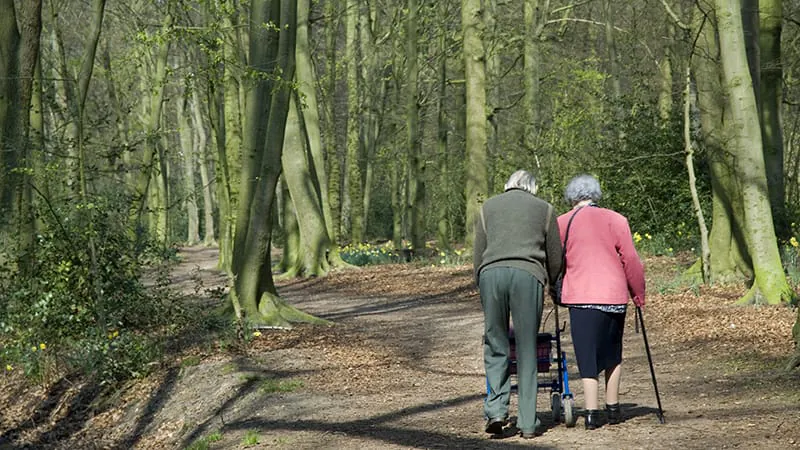 Nature prescriptions are going mainstream — here's what doctors need to know
