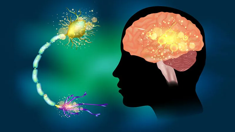 New ACARD score outperforms rivals in predicting short-term death after status epilepticus
