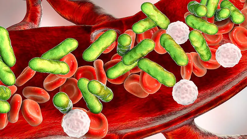 Gram-negative bacteria dominate bloodstream infections in kids with cancer