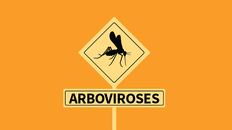 France sounds the alarm on locally acquired arboviral infections in 2026