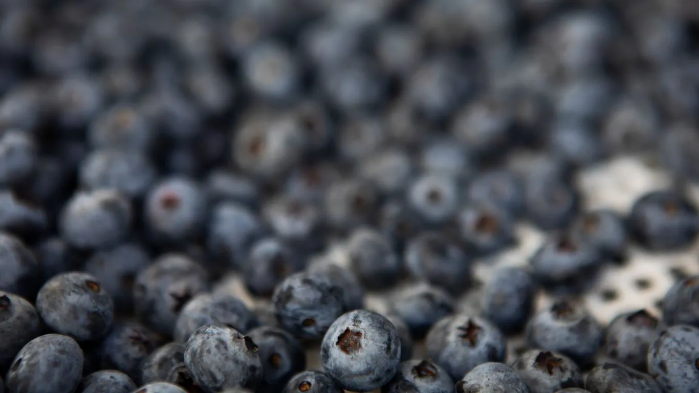 FDA upgrades frozen blueberry recall to highest risk level amid E. coli concerns