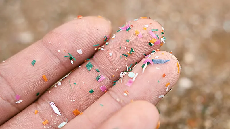Microplastics and cancer: Alarming headlines, thin evidence