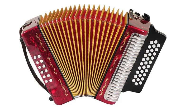 From street performer to lab breakthrough: How an accordion inspired a heart research device
