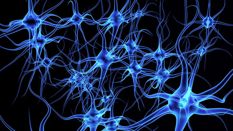 NfL blood test shows promise in neurology — but clinical use still has gaps