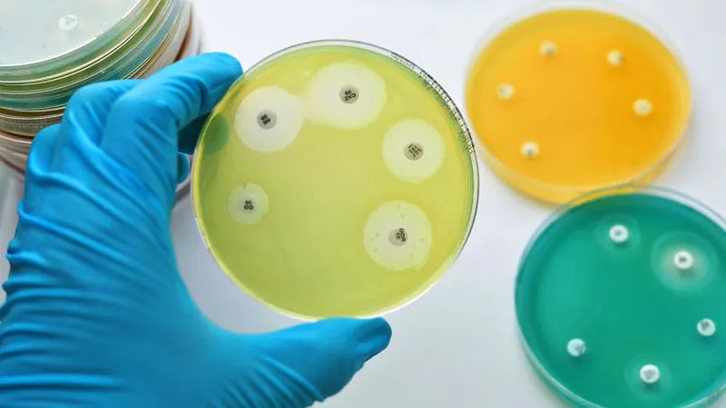 More antibiotic use, no more resistance: daptomycin and linezolid hold the line