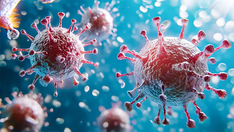 COVID-19 infection more than doubles death risk in staph bloodstream infections