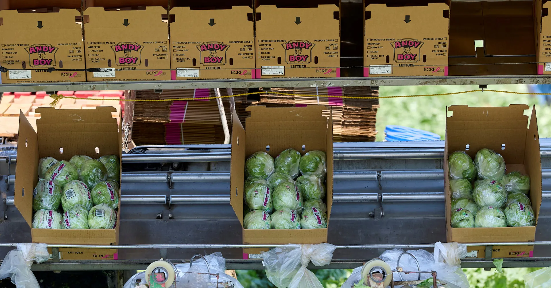 One of the largest foodborne illness outbreaks in US history keeps growing