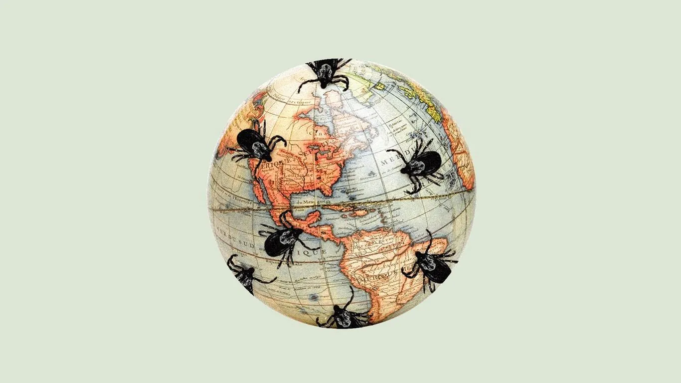 Tick season is breaking records — and it's not over yet