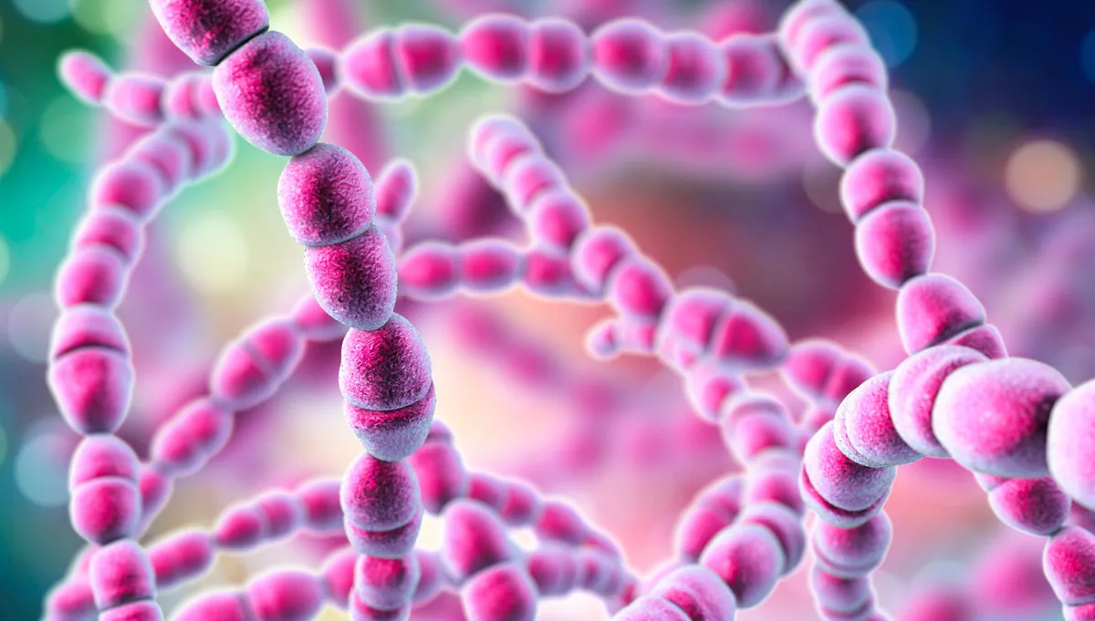 Shorter antibiotic courses may be safe for infective endocarditis patients, POET II finds
