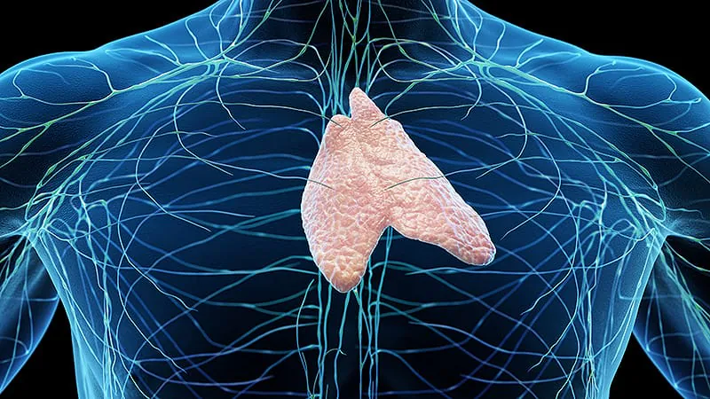 Protecting the thymus during lung cancer radiation may improve survival