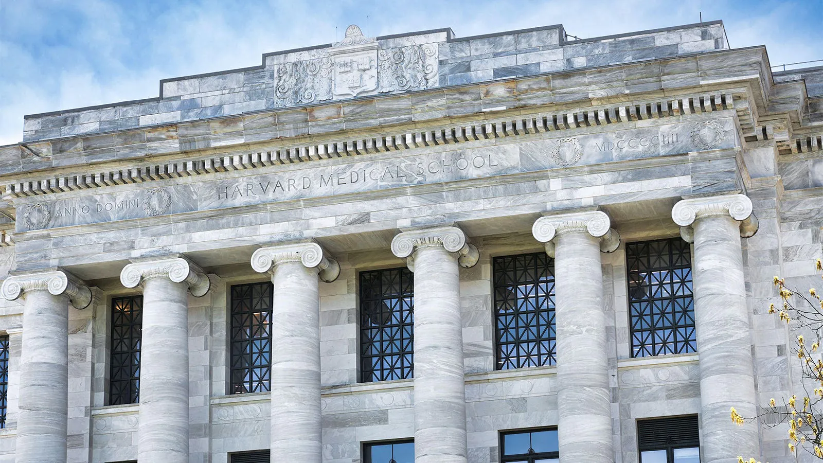 Harvard's cadaver scandal exposes deep cracks in medical education's trust system