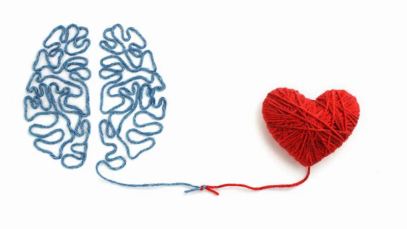 Can sex rewire your brain? New research explores the link between sexual experience and neuroplasticity