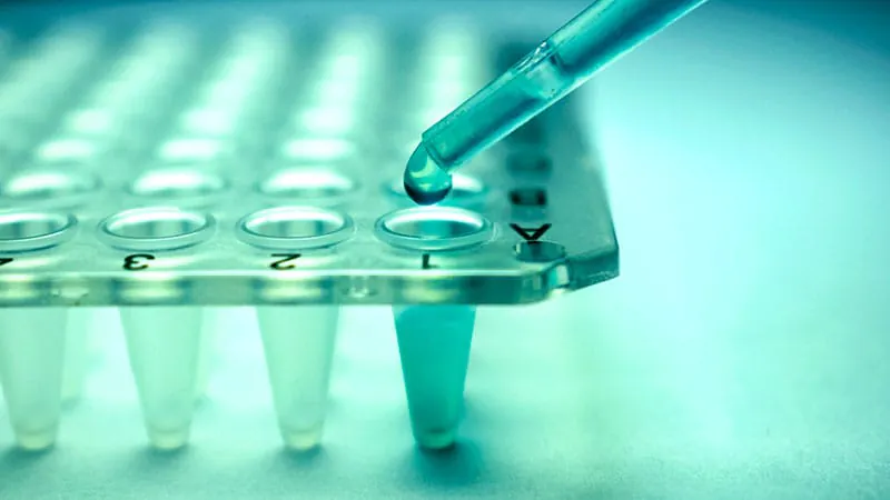 Belgium sounds the alarm on risky "stem cell tourism" targeting desperate patients