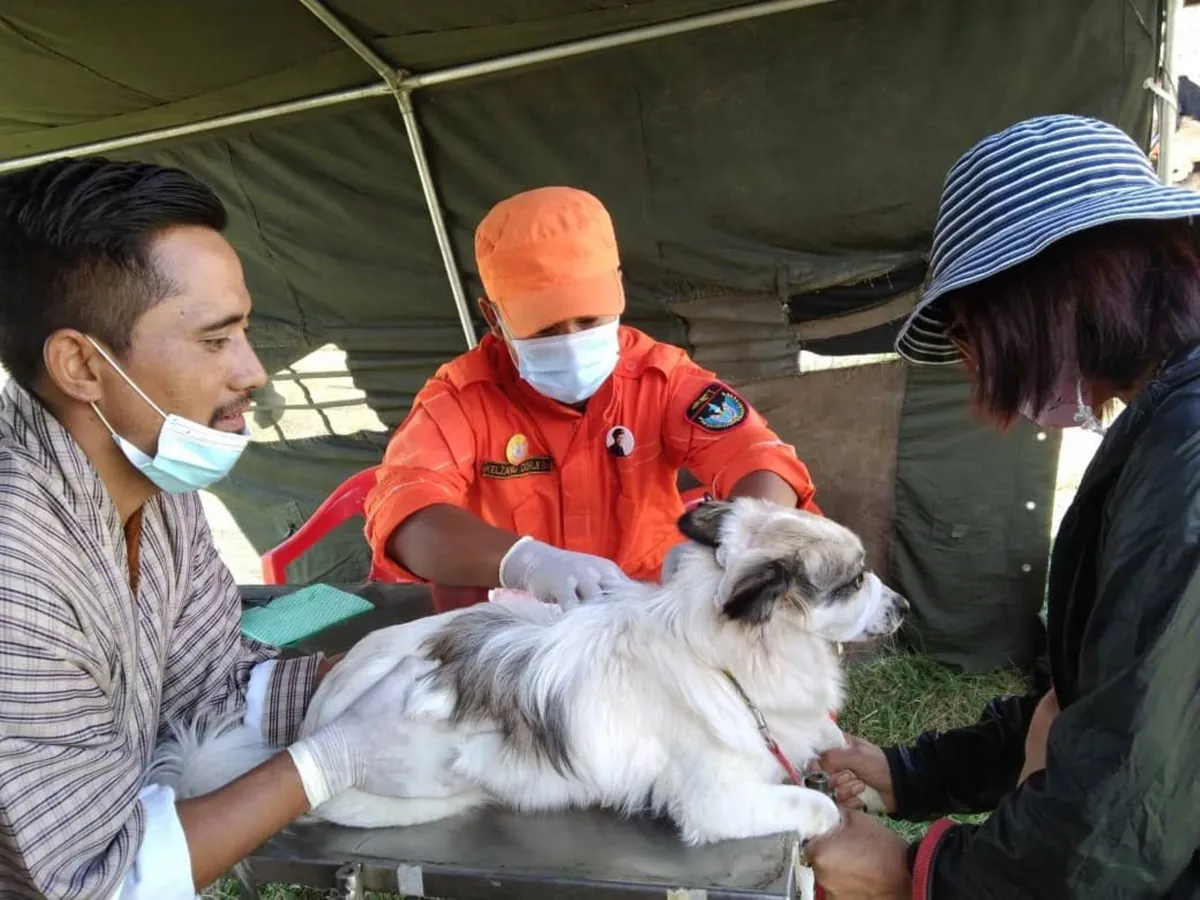Bhutan becomes first in South-East Asia to eliminate dog-transmitted rabies