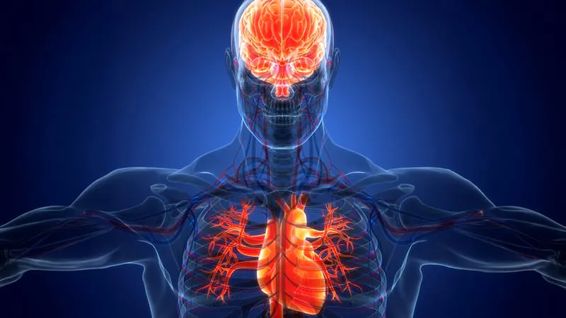 Trauma's hidden heart risk: Alcohol use disorder tops the list of psychiatric CVD predictors