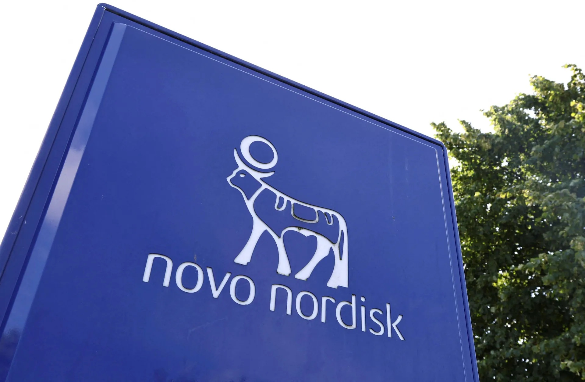 Novo Nordisk pulls the plug on two more heart drug trials as cardiovascular pipeline takes a hit