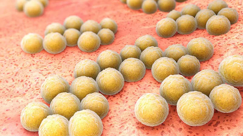 A simple education program slashed hospital MRSA infections by 65%