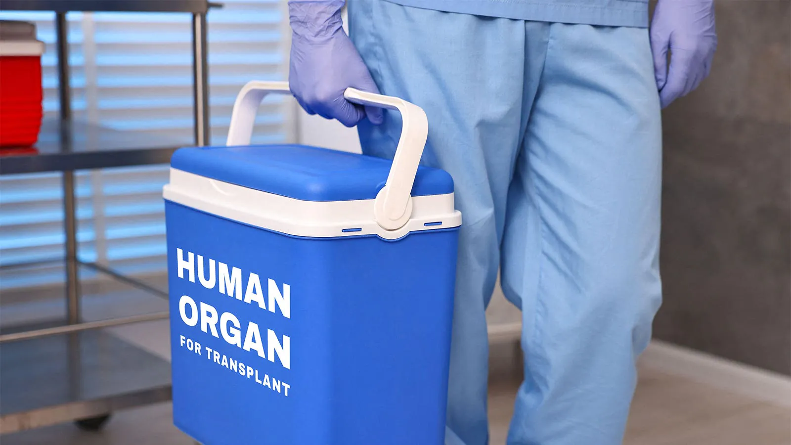 Medicare wasted nearly $400M on organs that never helped its enrollees