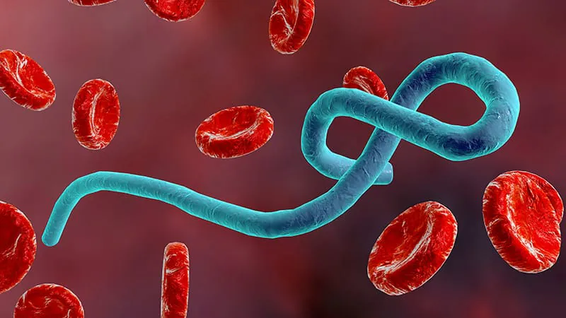 Antiviral post-exposure prophylaxis could slash Ebola deaths among healthcare workers — if deployed fast