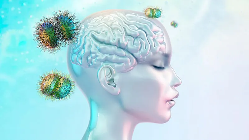 Bacterial meningitis survivors face modestly higher long-term mortality — and so do their siblings