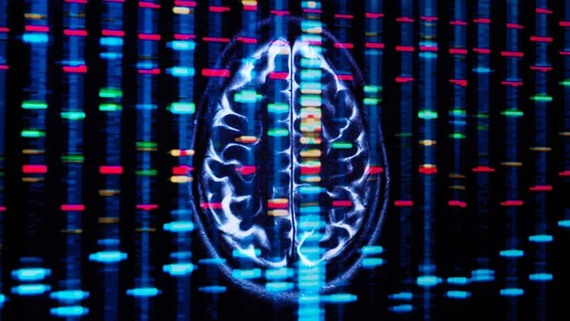 Breaking the cycle: How epigenetics is reshaping how we treat family obesity