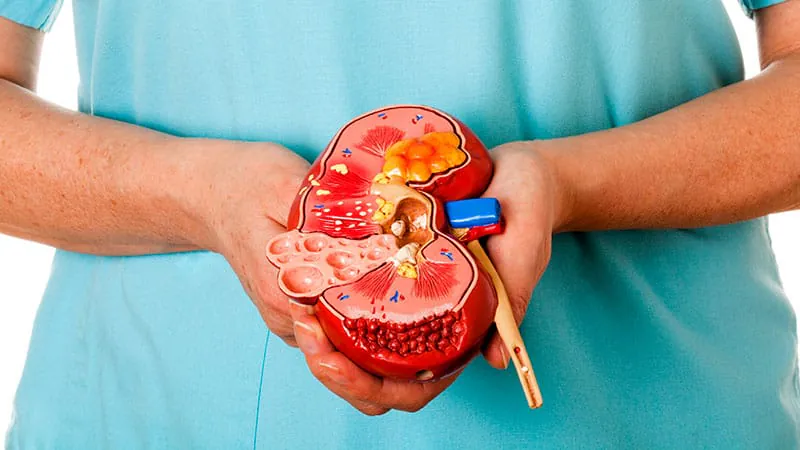Telitacicept add-on therapy dramatically boosts kidney response in lupus nephritis