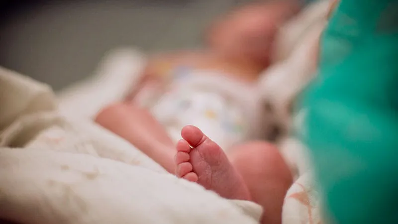 Preterm birth timing may not predict post-discharge respiratory outcomes in BPD infants