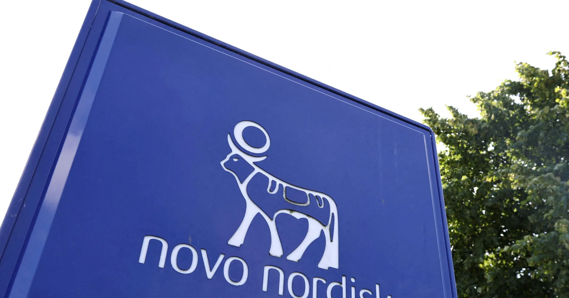 Novo Nordisk bets $1.4B on turning injectable cardiometabolic drugs into pills