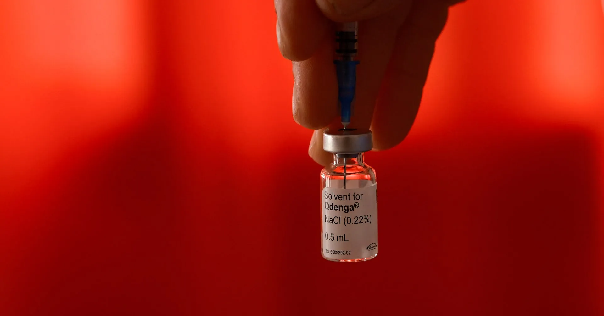 India's first dengue vaccine is heading to market — here's what you need to know