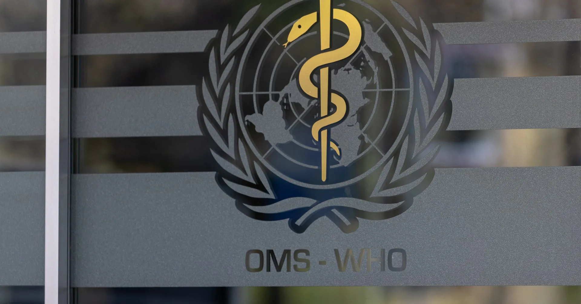 WHO sounds the alarm: A global doctor shortage is coming — and retirement is a big reason why