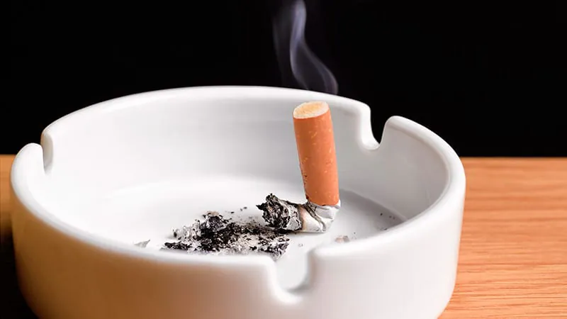 Plant-derived cytisine helps half of older smokers quit — with a clean safety record