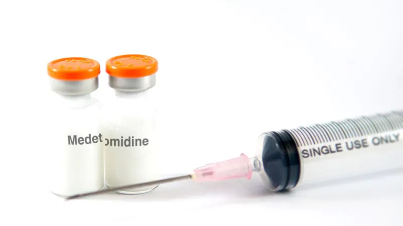 'Rhino tranq' is taking over the illicit drug supply — and clinicians aren't ready