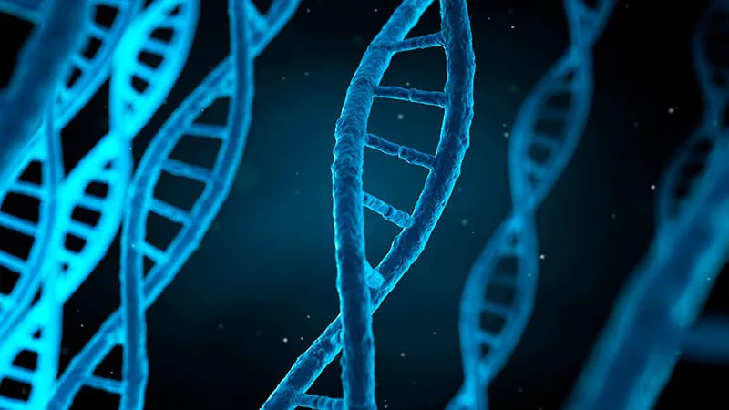 Heat-shock protein genes could help predict how bad acute pancreatitis gets
