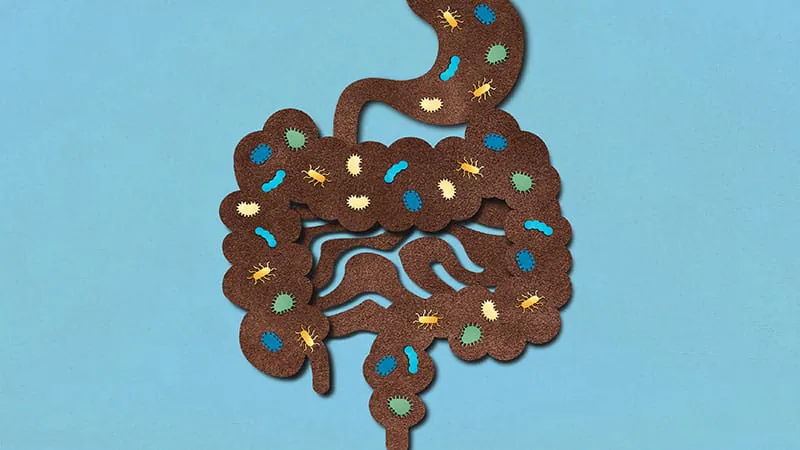 Your gut bacteria may be fueling hormone-driven cancers