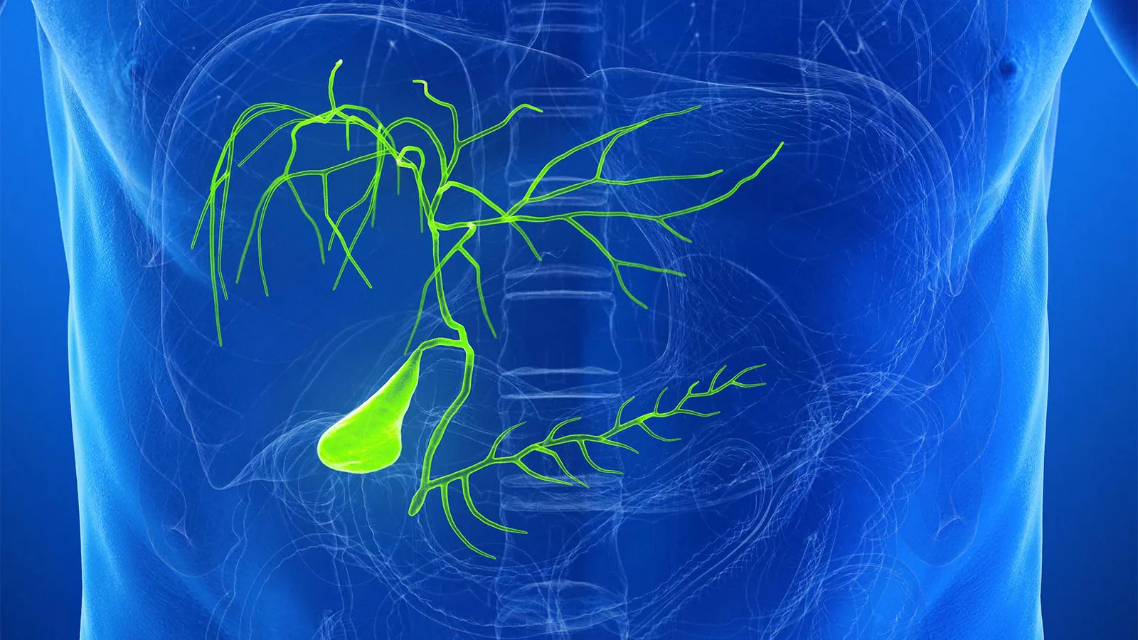 FDA greenlights lirafugratinib for bile duct cancer with FGFR2 mutations