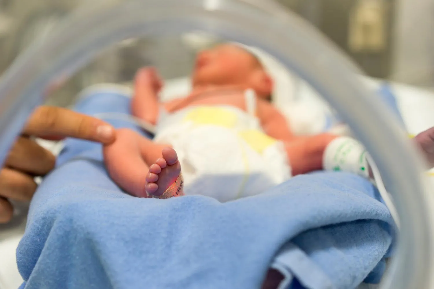 Probiotics may dramatically cut a deadly gut disease in premature babies — so why aren't US hospitals using them?
