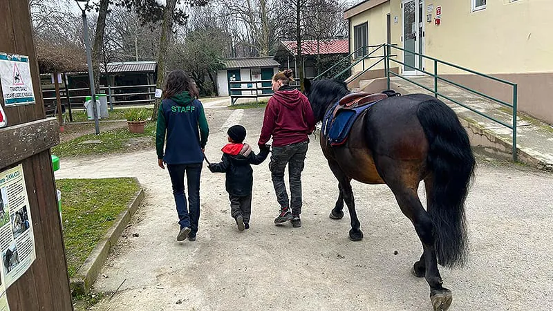 Equine-assisted therapy isn't just healing patients — it's healing therapists too