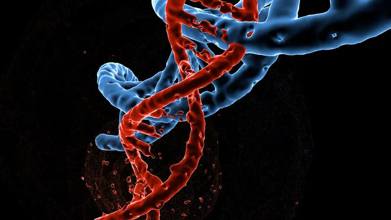 Gene therapy and genetic testing are reshaping how we treat rare immune disorders
