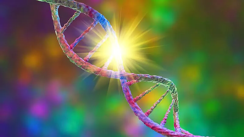 Airway stem cell transplants show promise for untreatable genetic lung diseases