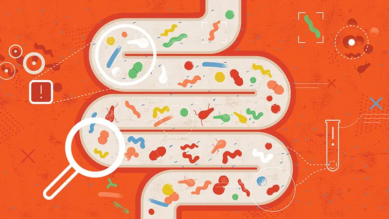 One-size-fits-all microbiome therapy? Science says not so fast