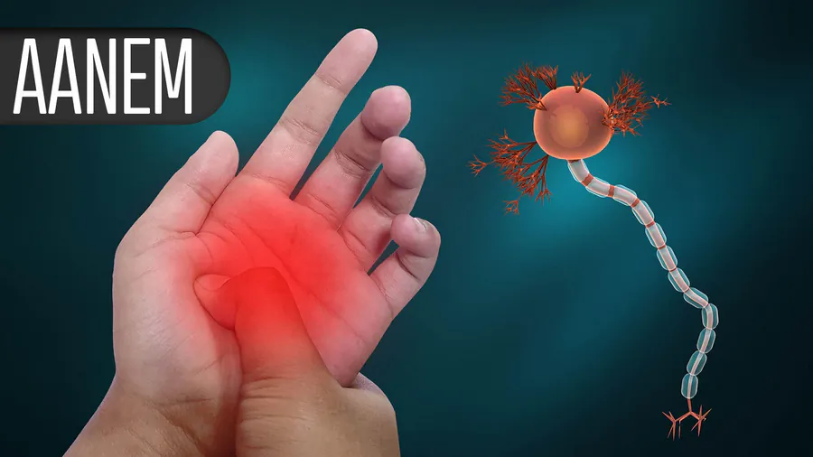 CAR-T therapy delivers lasting, drug-free relief for myasthenia gravis patients
